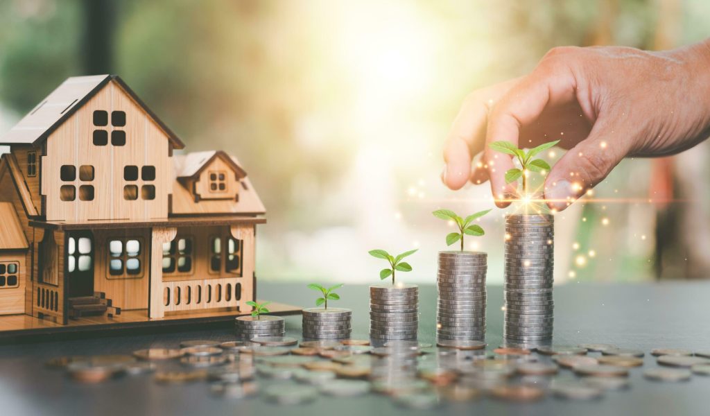 Invest in Land and Real Estate